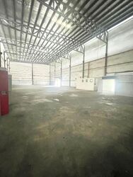 Island Club Road (D20), Factory #566734661